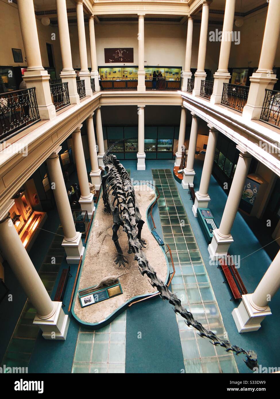 Naturwissenschaftliches Museum in La Plata, Argentinien. Eines der größten in Lateinamerika. Stockfoto