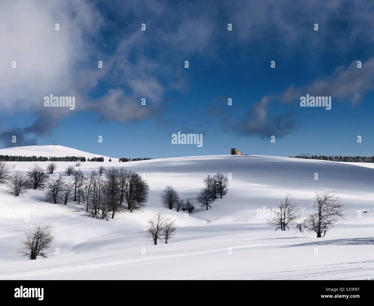 Landschaft mit Bäumen in den Bergen im Winter Stockfoto