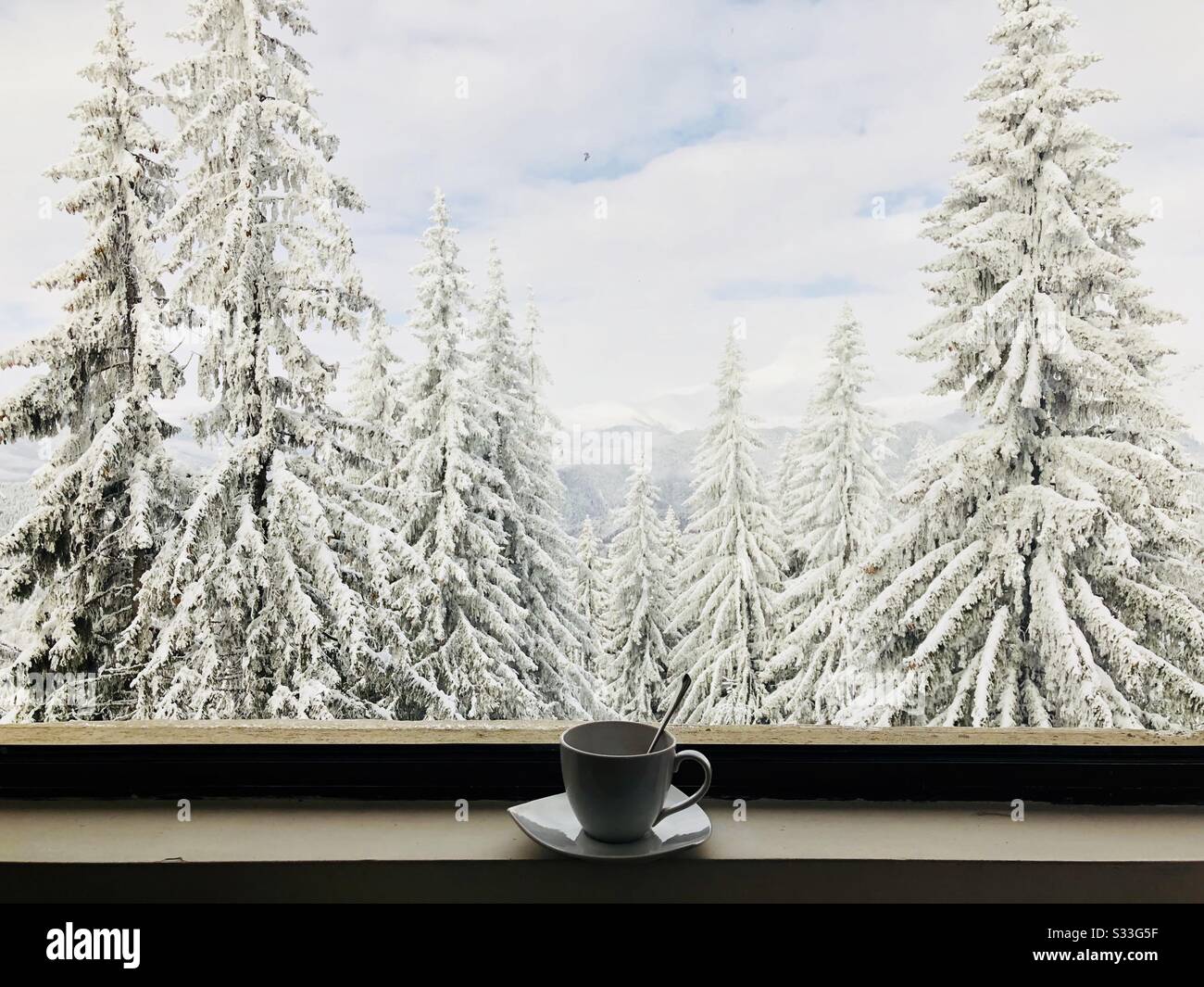 Tasse Kaffee in der Nähe des Fensters, durch das Sie Wald bedeckt im Schnee sehen können - Smartphone-aufgenommenes Stockfoto