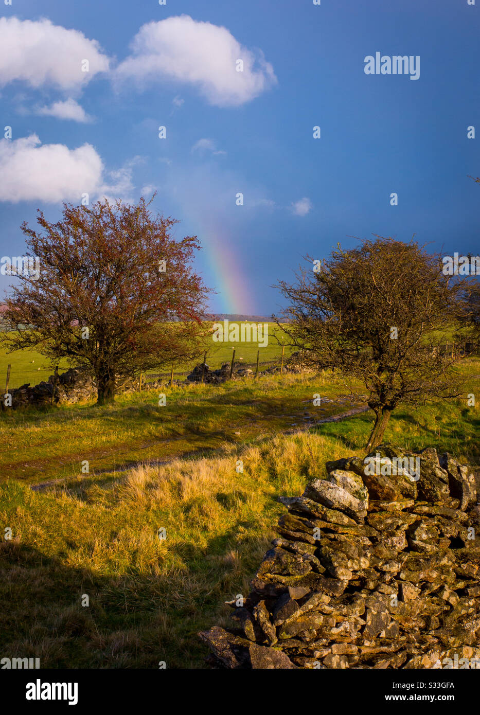 Regenbogen zwischen Bäumen in der Nähe Von Great Longstone im Peak District National Park Derbyshire England UK. Stockfoto