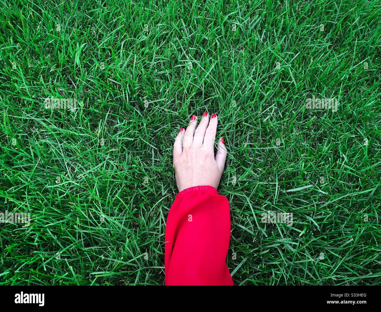 Hand der Frau mit roten Nägeln, die das Gras berühren Stockfoto
