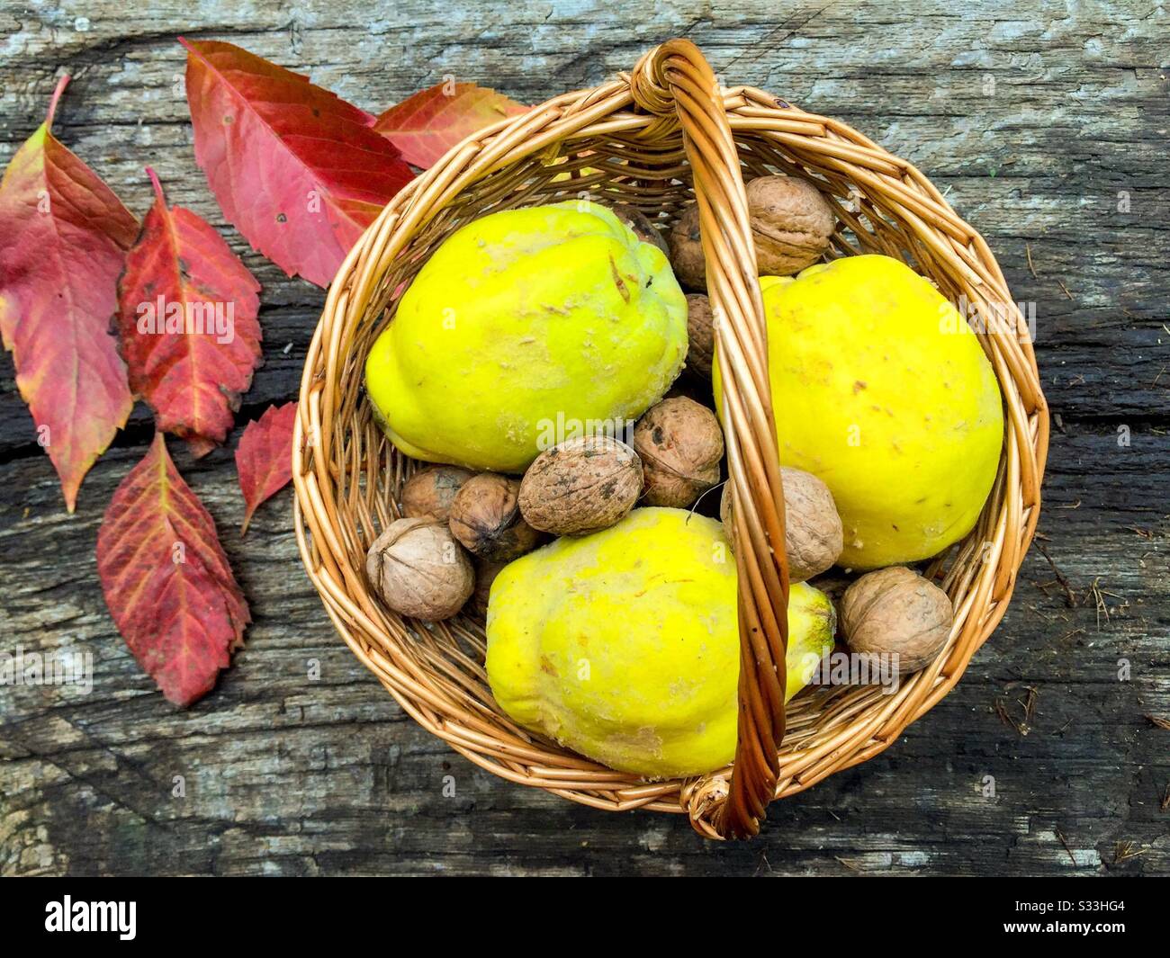 Korb mit Nüssen und Quitten auf rustikalem Holztisch Stockfoto