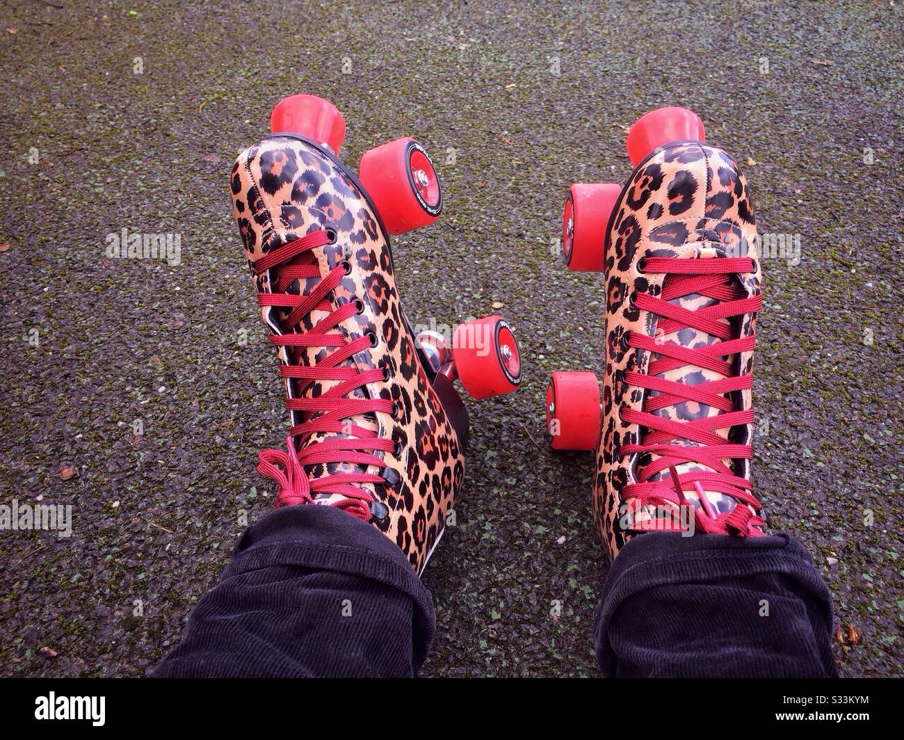 Nahaufnahme eines Paares von Rollschuhen mit Leopardenmuster, die von einer Frau getragen werden, die auf dem Asphalt sitzt, ruht oder bereit ist, Rollschuhbahn zu machen Stockfoto