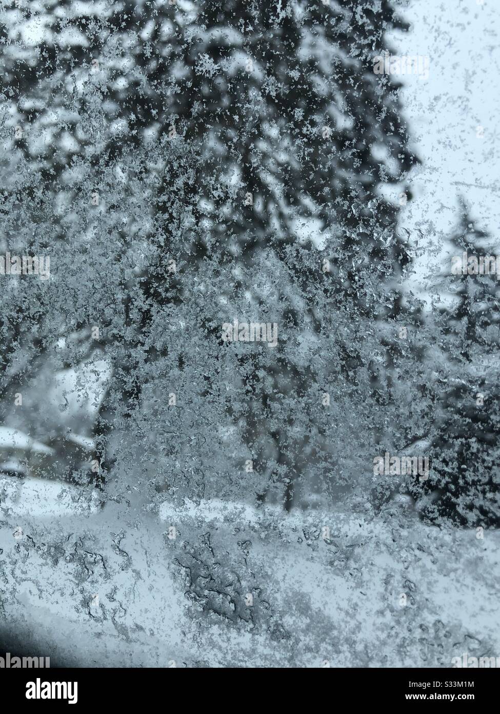 Schnee immergrüne Landschaft Eis Fokus Winter verschneite Bäume Stockfoto