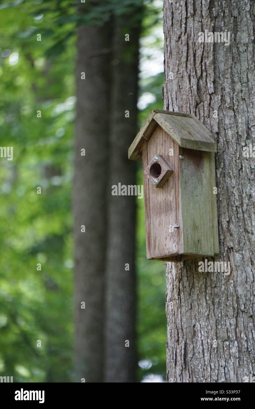 Ein Haus für die Vögel Stockfoto