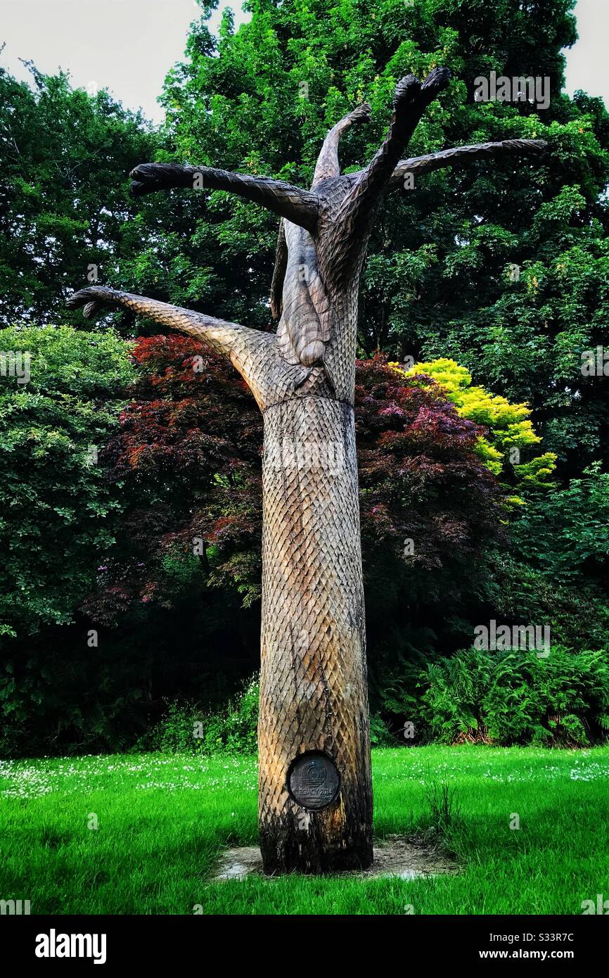 Lycopod Baumskulptur im Victoria Park Glasgow, Schottland. Vermächtnis der Commonwealth Games 2014 in Glasgow. Stockfoto