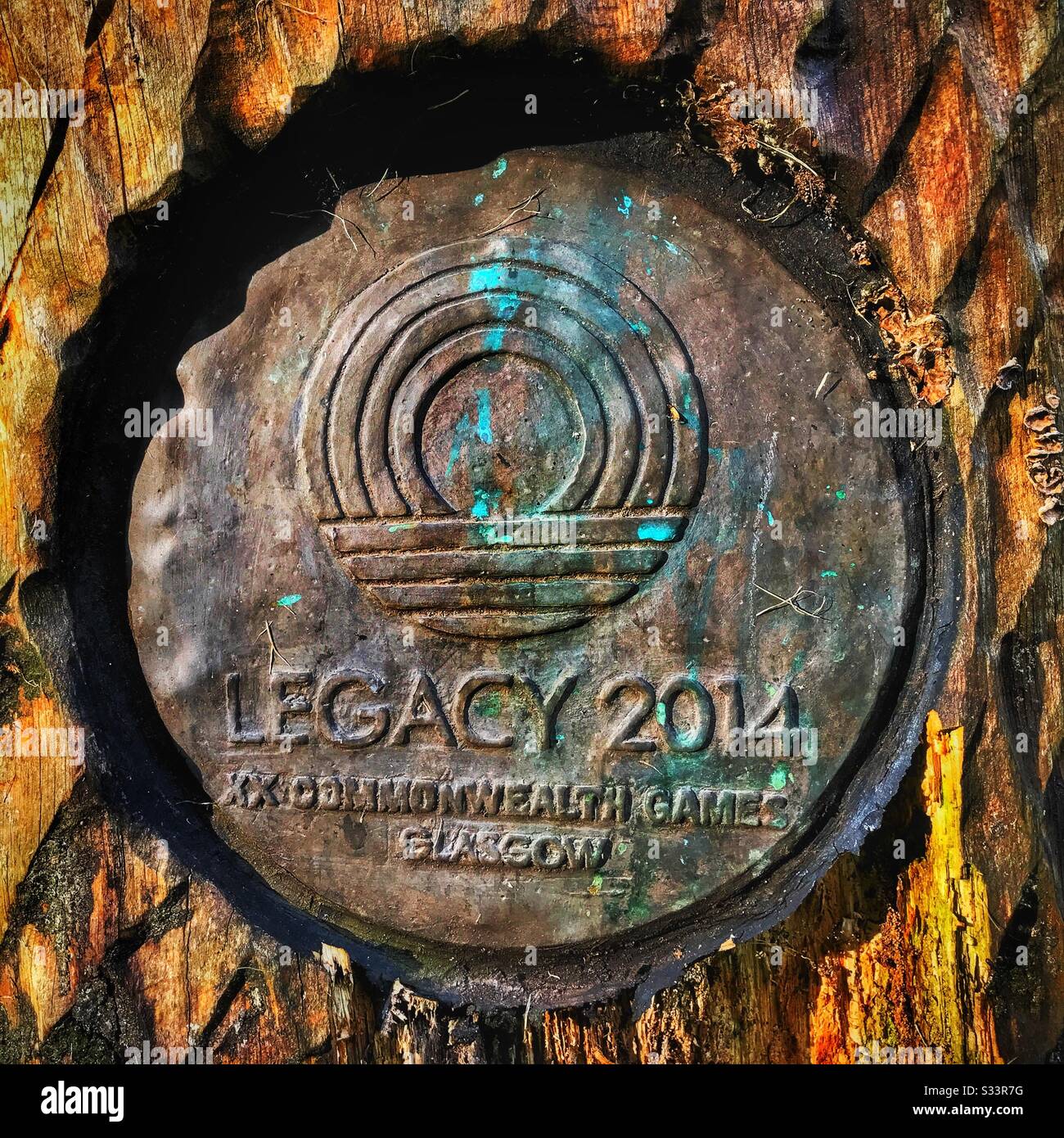 Aufschrift auf Lycopod Baumskulptur im Victoria Park Glasgow, Schottland. Vermächtnis der Commonwealth Games 2014 in Glasgow. Stockfoto