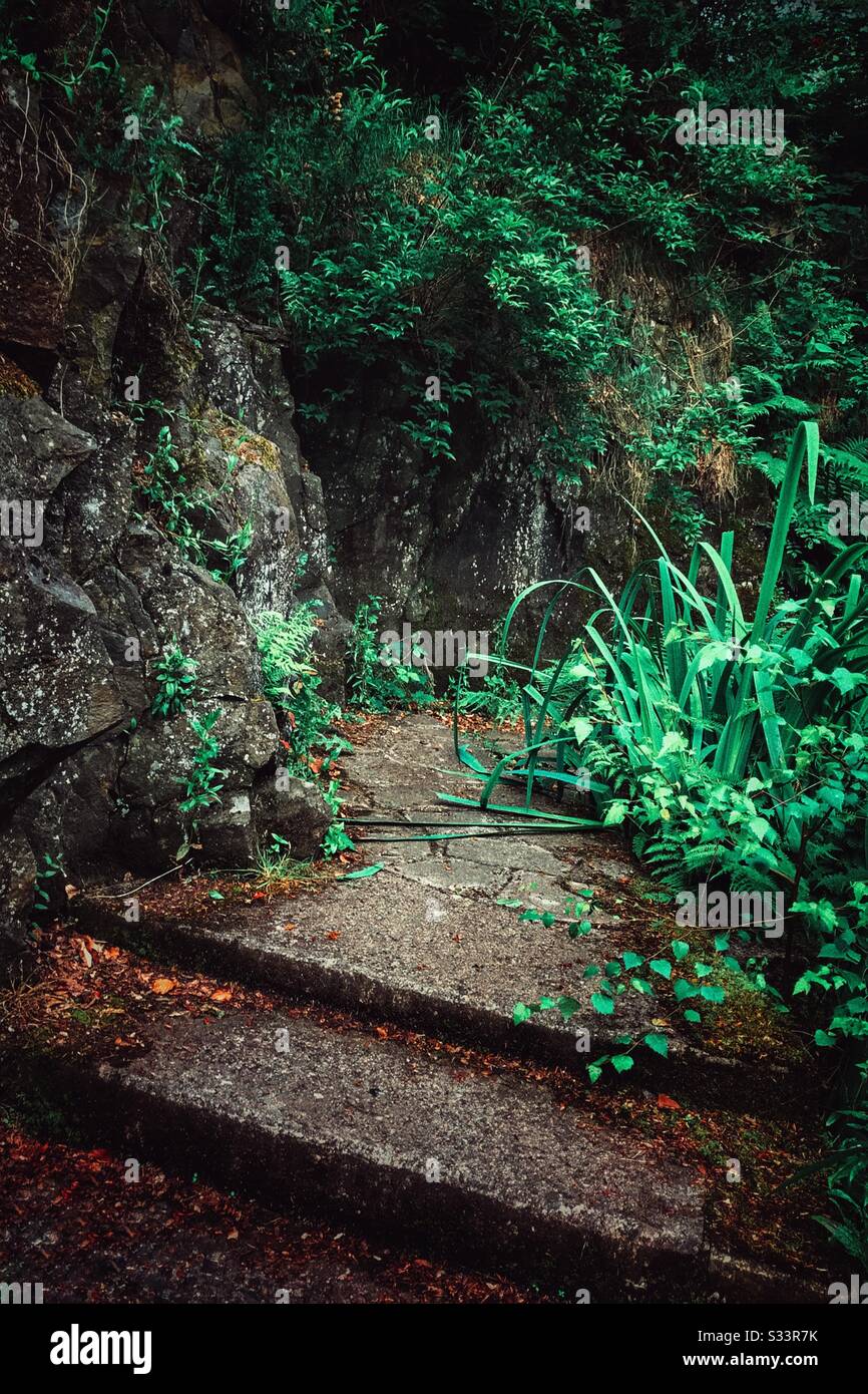 Pathways im Victoria Park, Glasgow, Schottland. Stockfoto