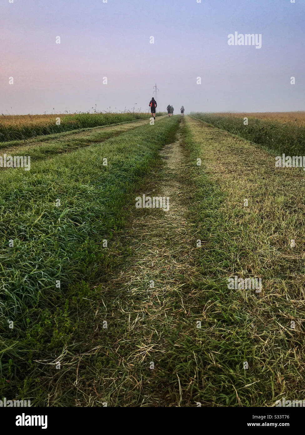 Nahaufnahme eines mit Gras gefüllten Wegs auf der Via Francigena in Italien. Vier Rucksacktouristen im Hintergrund. - Smartphone-aufgenommenes Stockfoto