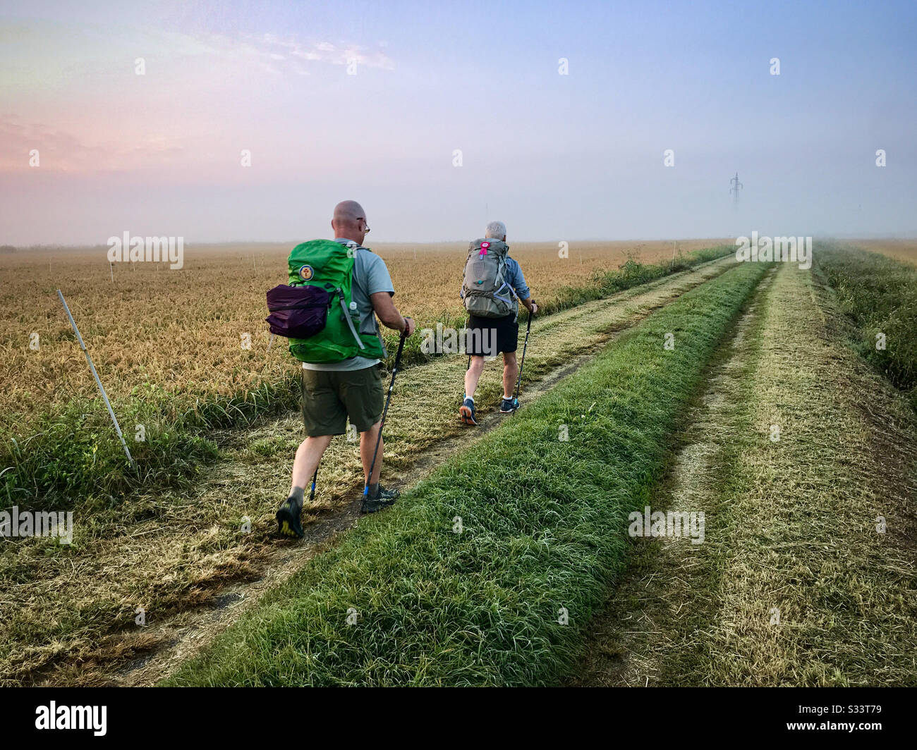 Zwei Rucksacktouristen, die mit Wachstöcken, einen Mann und eine Frau, unterwegs auf dem Via Francigena Trail sind, einem grasigen Autoweg, der von geernteten Reisfeldern umgeben ist. - Smartphone-aufgenommenes Stockfoto