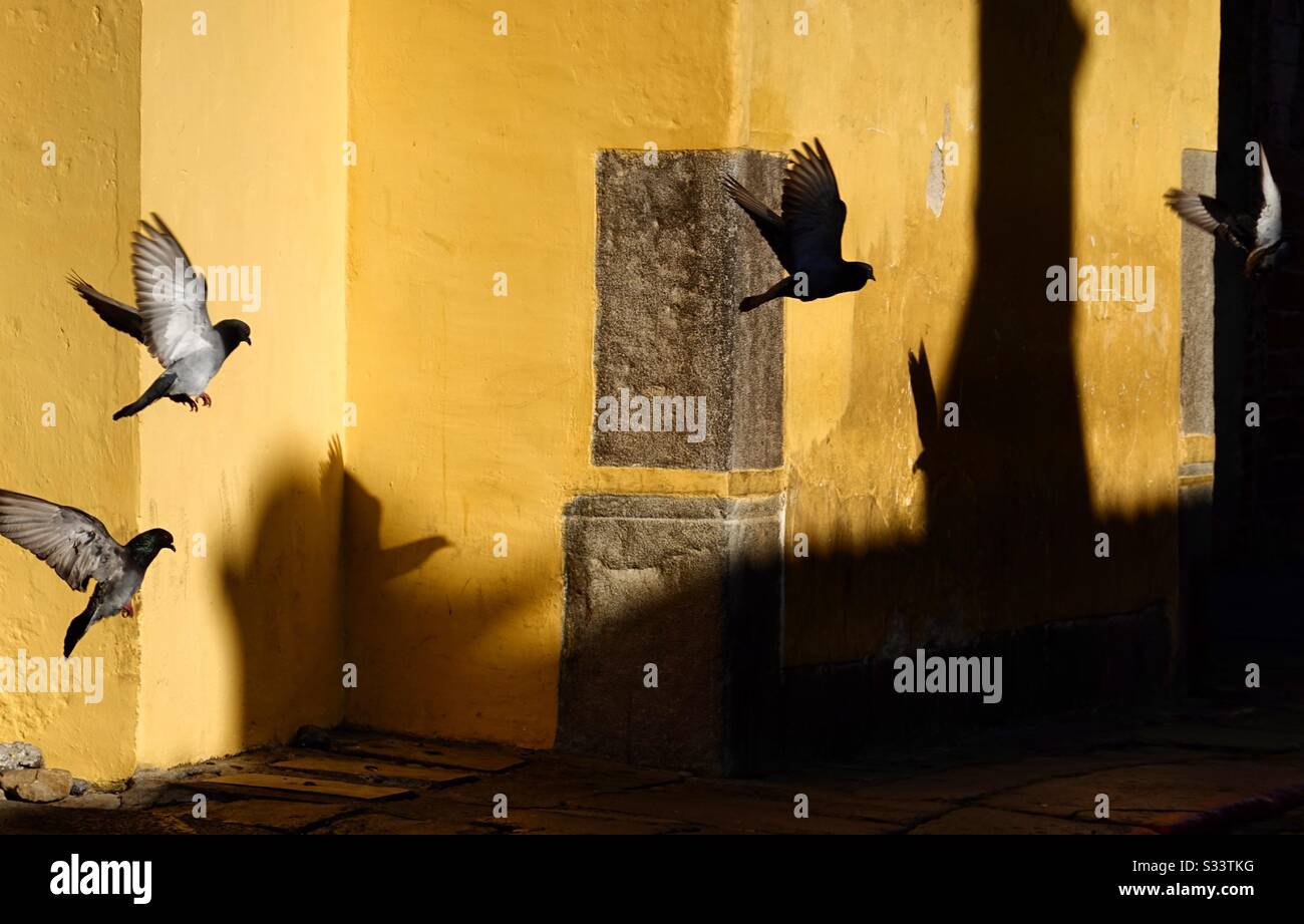 Friede auf Erden Stockfoto