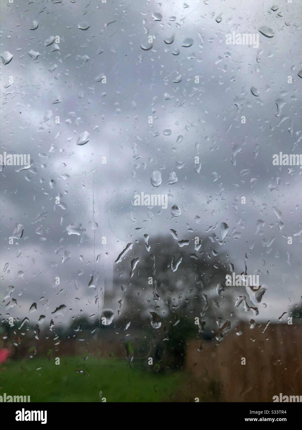 Blick durch ein Glasfenster. Bedeckt mit Regentropfen an einem regnerischen Tag in einem Garten darüber hinaus. Stockfoto