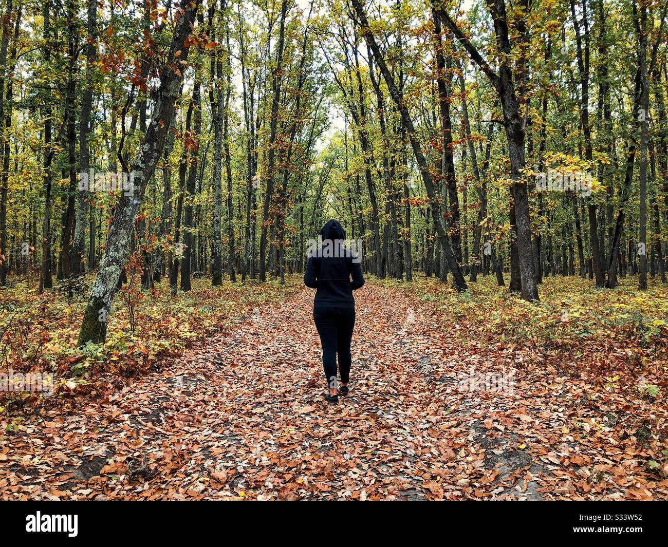 Frau trägt Sportkleidung in einem Herbstwald Stockfoto