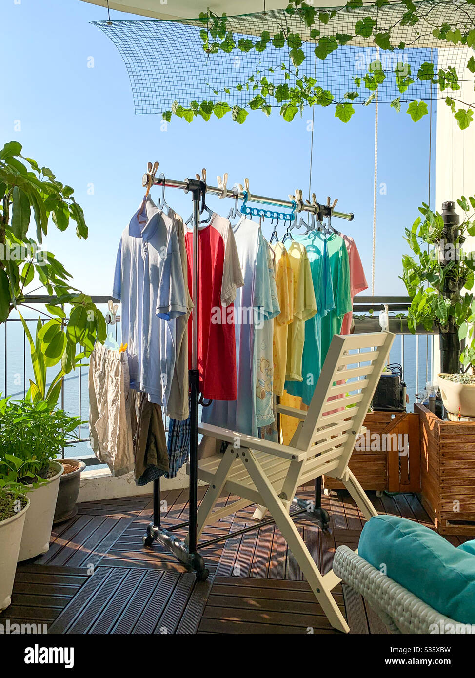 Buntes T-Shirt hängt an einer Hängebalke. Nasse Kleidung, die auf einer Veranda voller Hydroponanlagen hängt Stockfoto