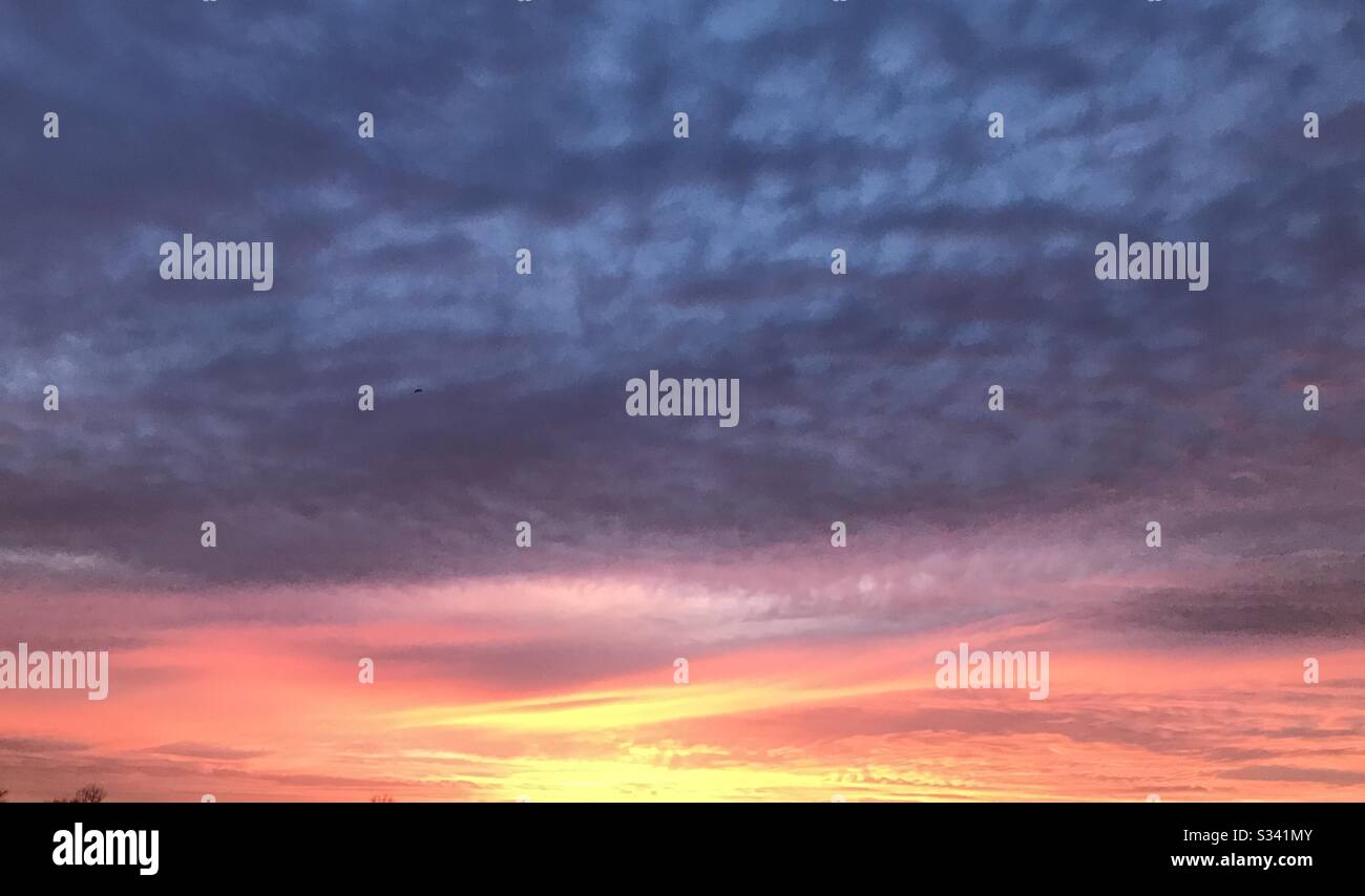 Erstaunlich farbenfroher Sonnenaufgang im März 2020 in Eastampton, NJ. Gelb, Orange, Pfirsich, Rosa, Purpur und Blau beleuchteten den Himmel auf einem morgendlichen Lauf. - Smartphone-aufgenommenes Stockfoto