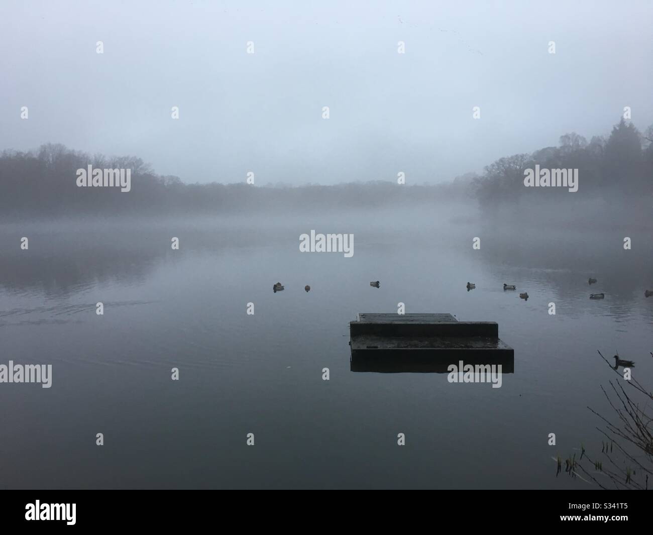 Anlegesteg an einem nebligen See Stockfoto