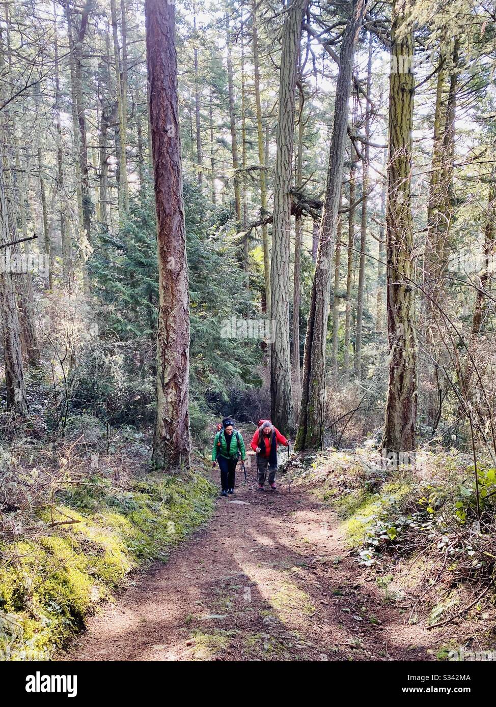 Zwei weibliche Wanderer genießen die Schönheit der Washington State Trails. Stockfoto
