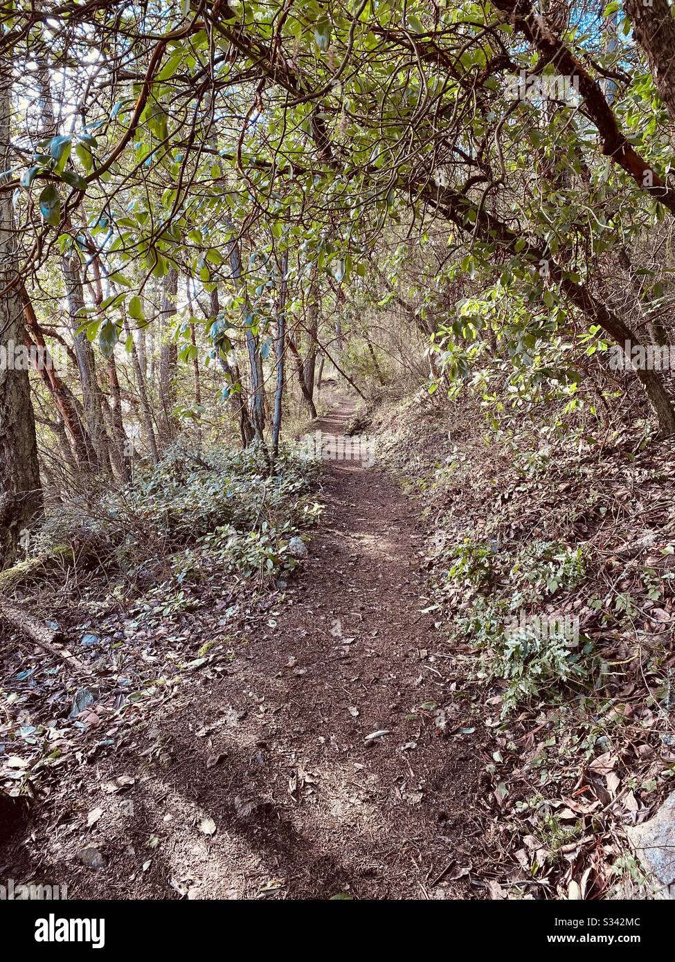 Wanderweg im Deception Pass State Park, Washington State, USA Stockfoto