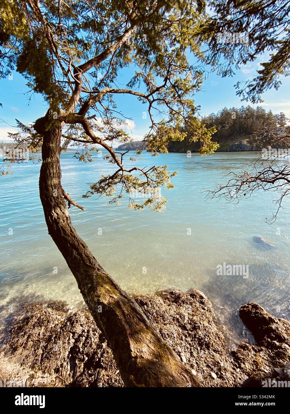 Blick auf Ben Ure Island Deception Pass State Park, Washington State, USA - Smartphone-aufgenommenes Stockfoto