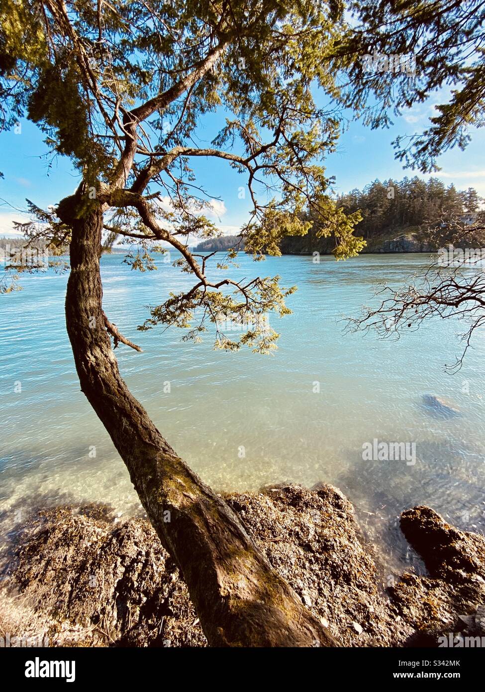 Blick auf Ben Ure Island Deception Pass State Park, Washington State, USA Stockfoto