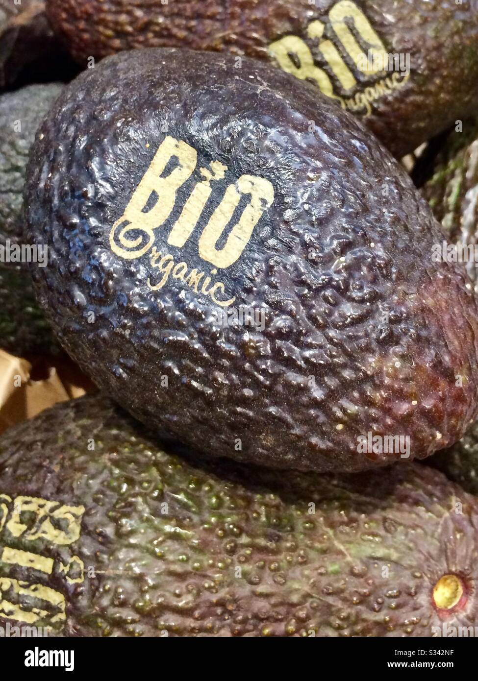 Bio-Avocado, eingebettet, Marke, Bio-Avocado, Bio-Avocados, gesundes Essen, nahrhaftes Essen, Superessen - Smartphone-aufgenommenes Stockfoto