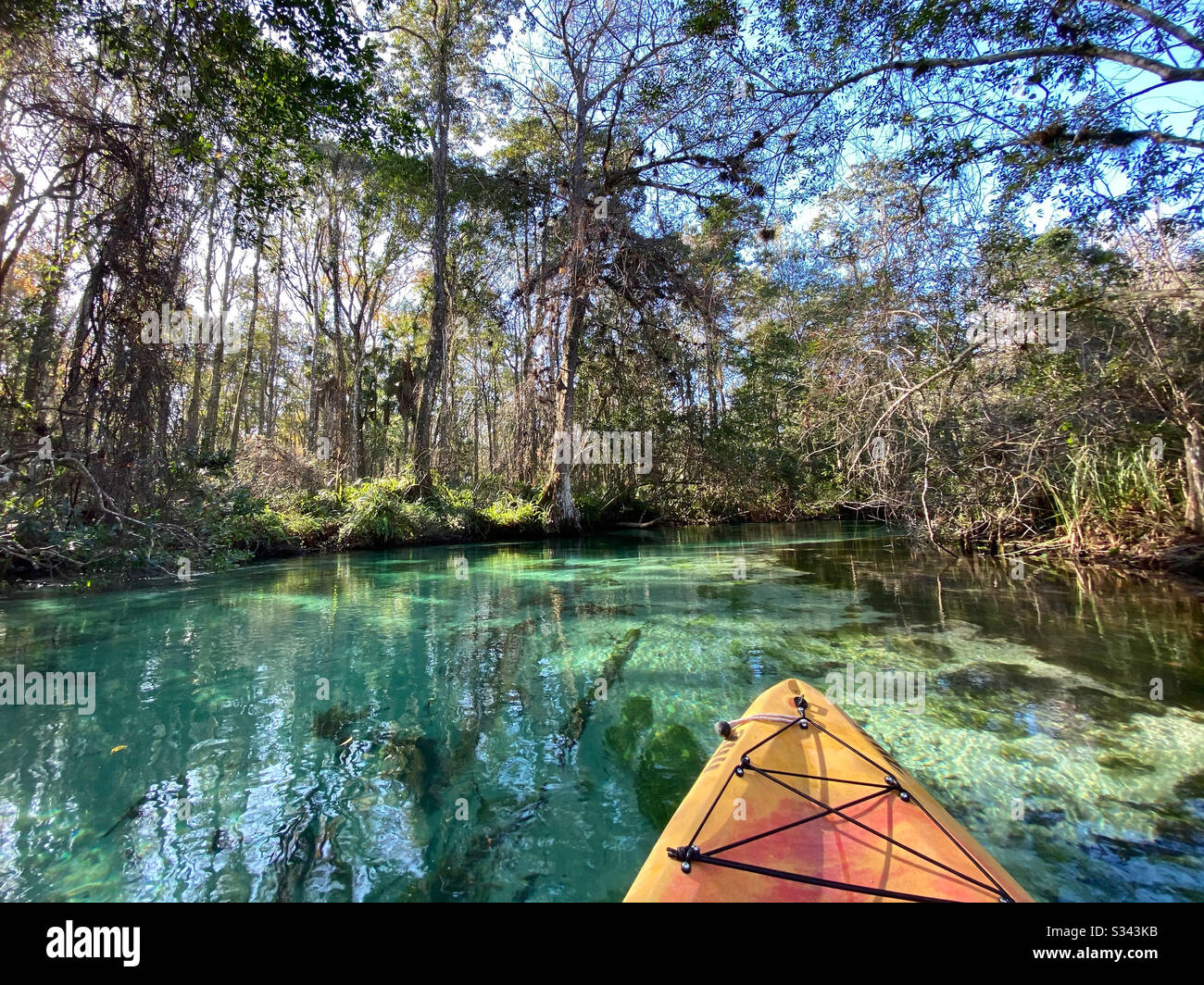 Kajak Weeki Wachee Springs State Park, Florida Stockfoto