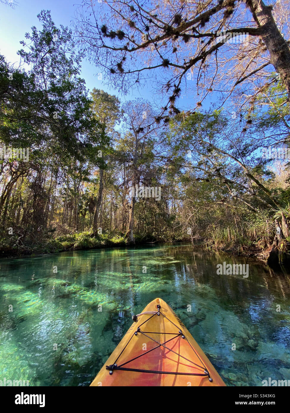Kajak Weeki Wachee Springs State Park in Florida Stockfoto