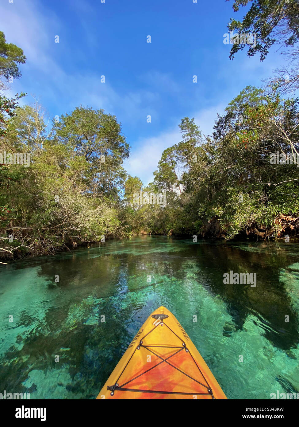 Kajak Weeki Wachee State Park, Florida Stockfoto