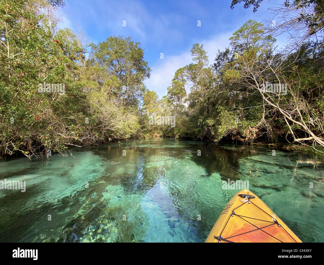 Kajak Weeki Wachee State Park, Florida Stockfoto