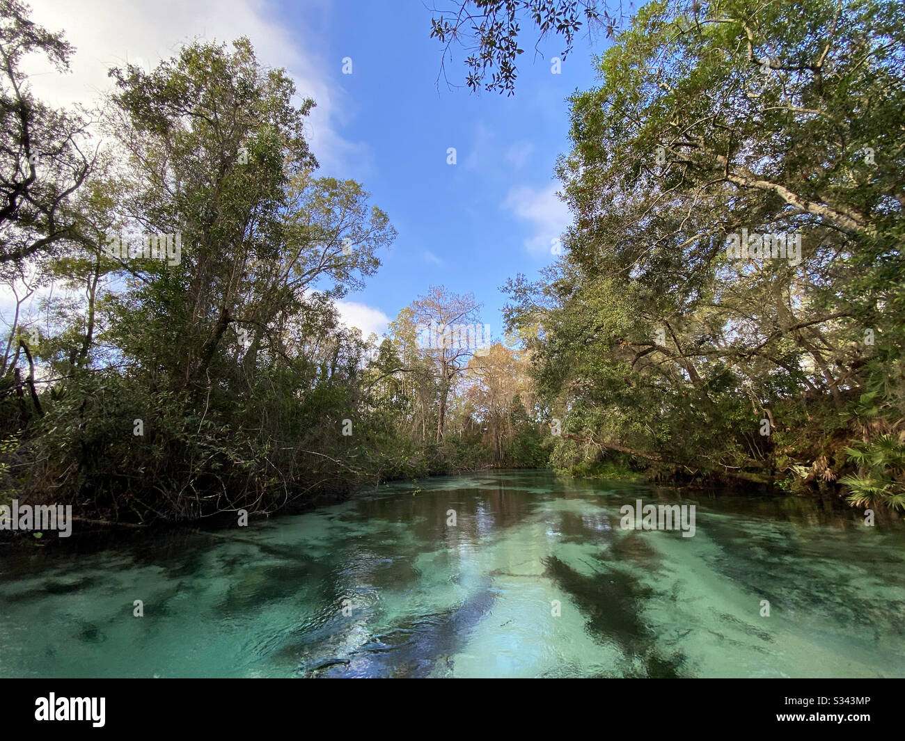 Weeki Wachee Springs State Park, Florida Stockfoto