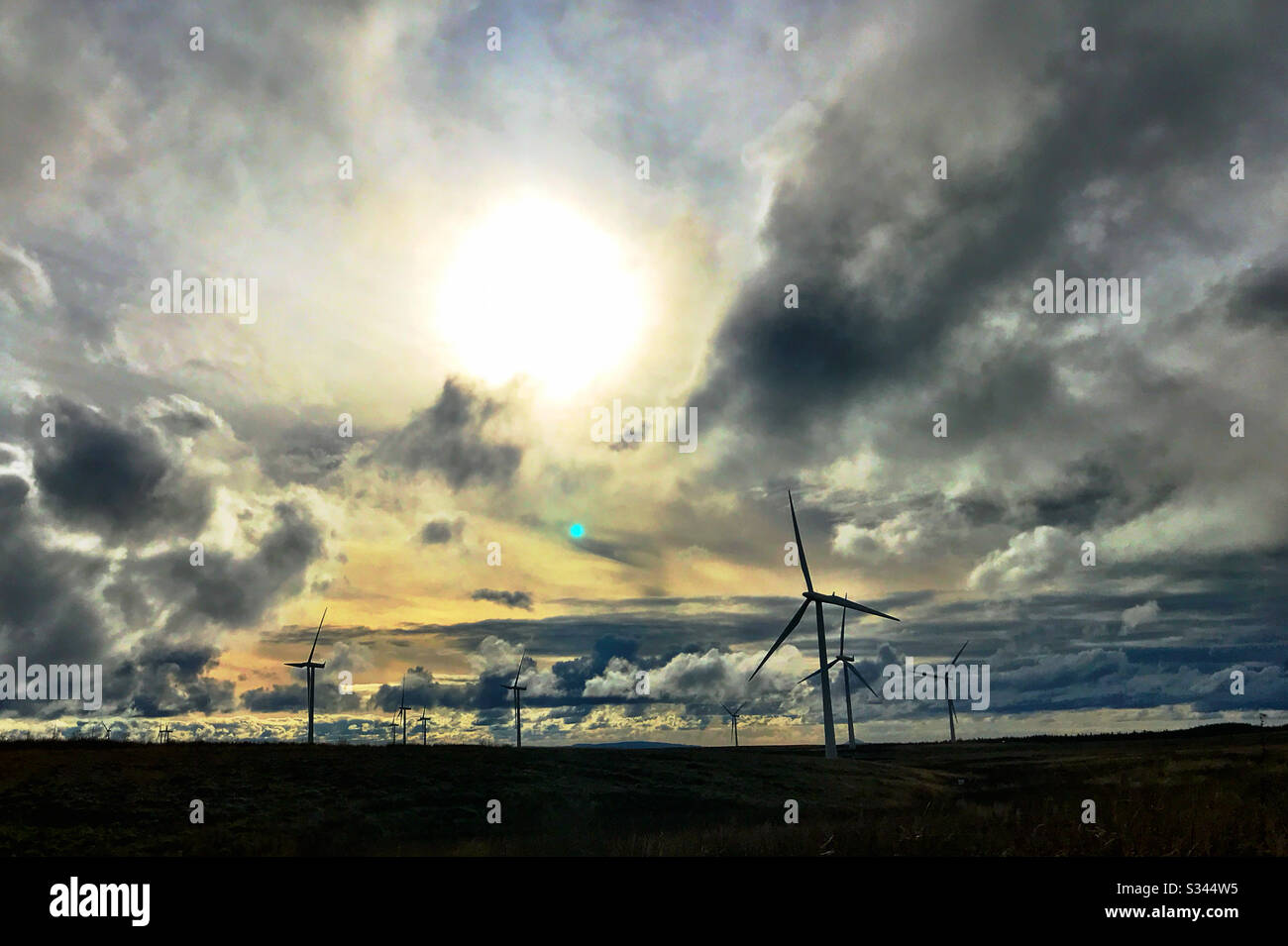 Windmühlen in Whitelee Windfarm in Westschottland. Whitelee ist die größte Onshore-Windfarm Großbritanniens. Stockfoto