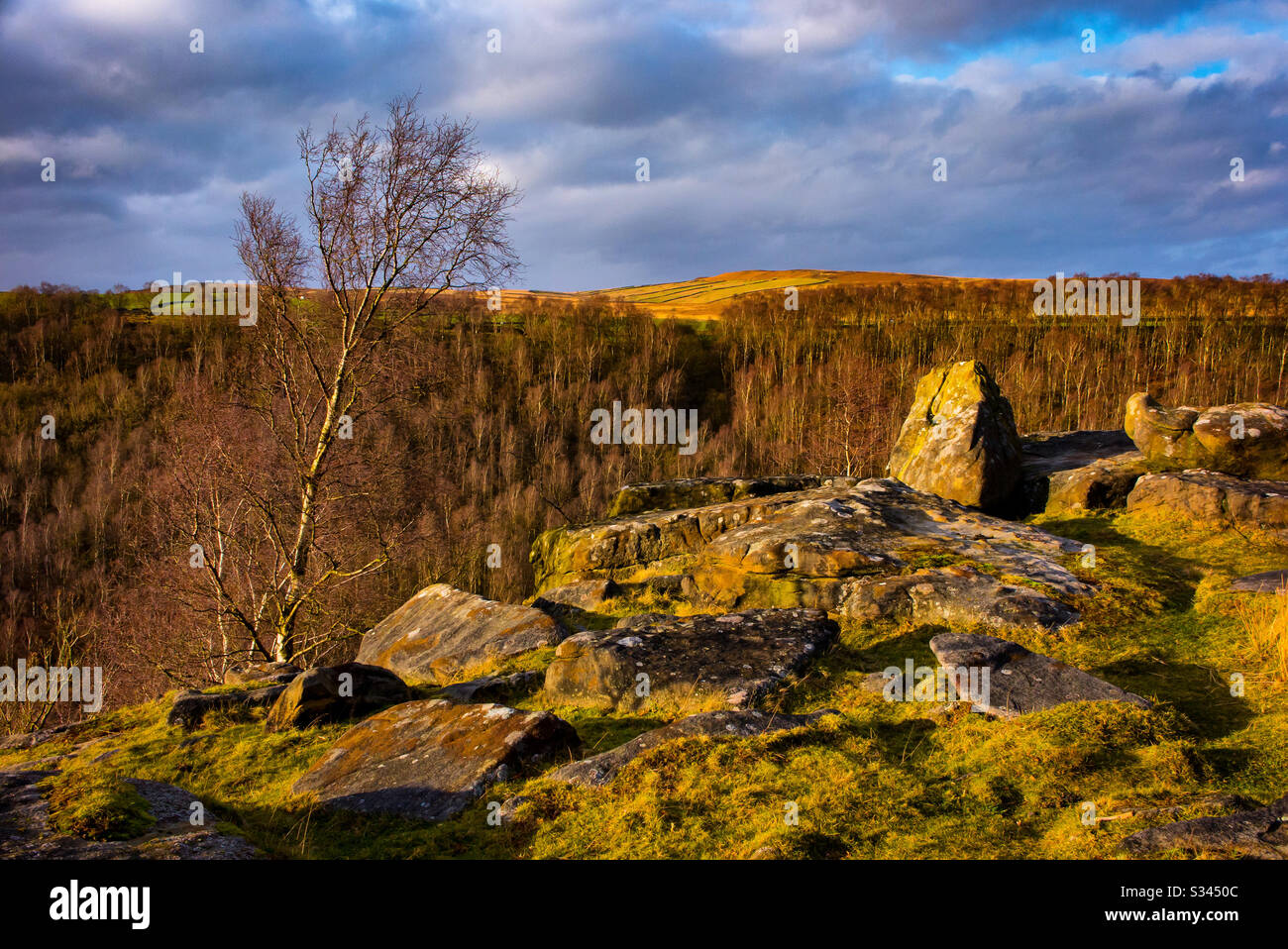 Felsen und Bäume an Gardoms Rand im Peak District National Park Derbyshire England UK Stockfoto