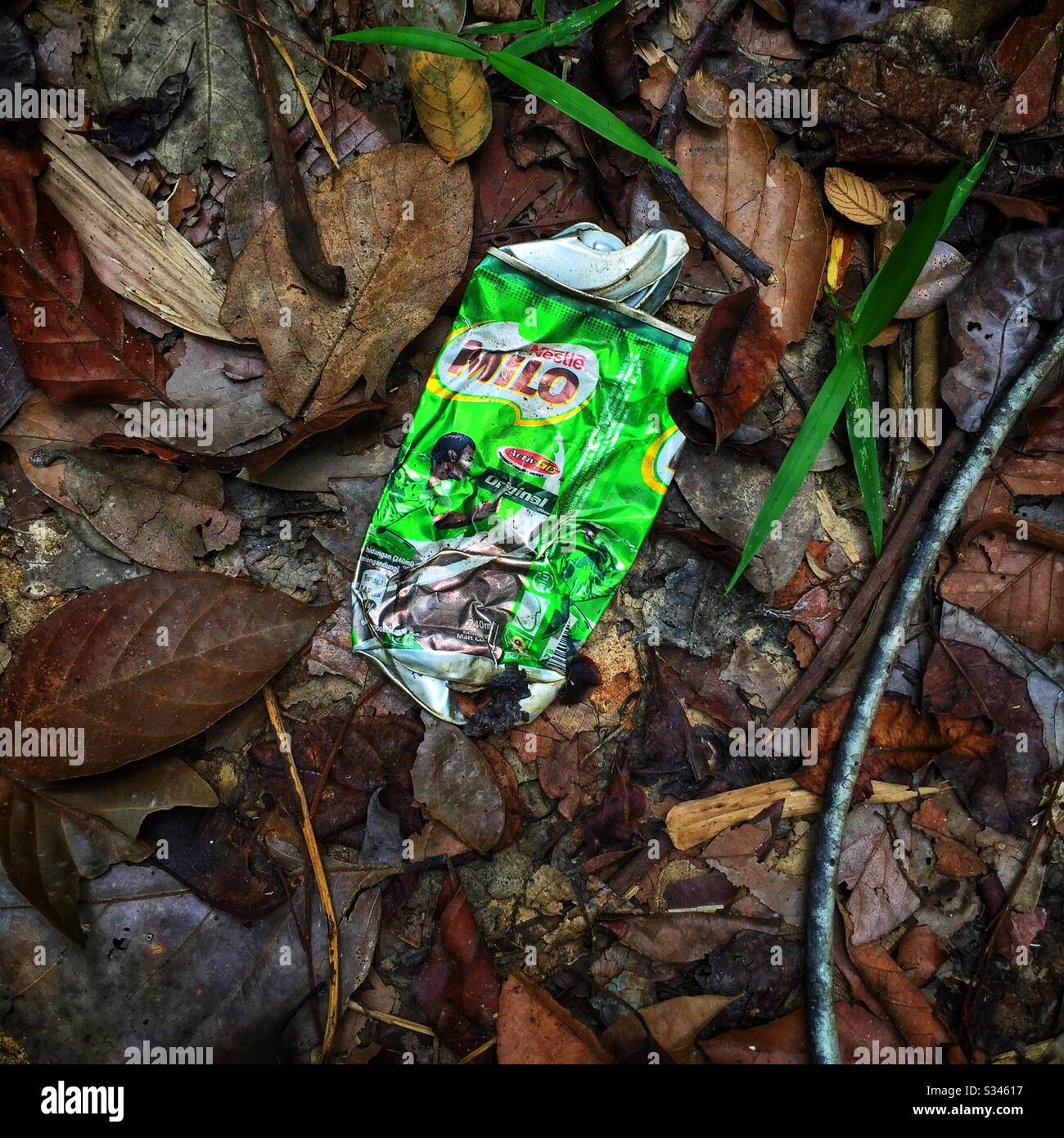 Ein Getränk kann von einem Touristen auf dem Waldboden, Pulau Bandering (Banding Island), Perak, Malaysia, entsorgt werden - Smartphone-aufgenommenes Stockfoto