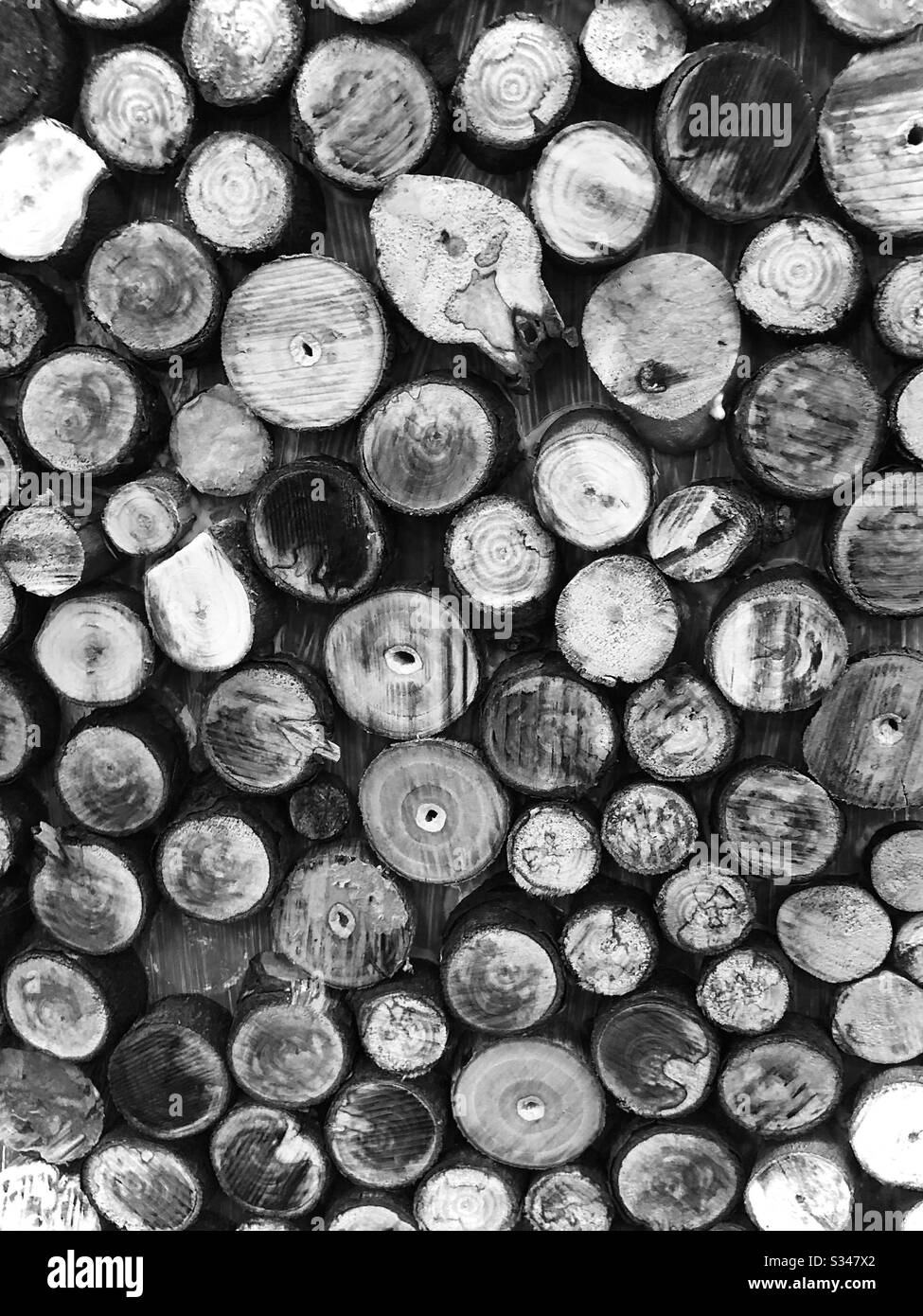 Schwarz-weiße Holzscheiben Stockfoto