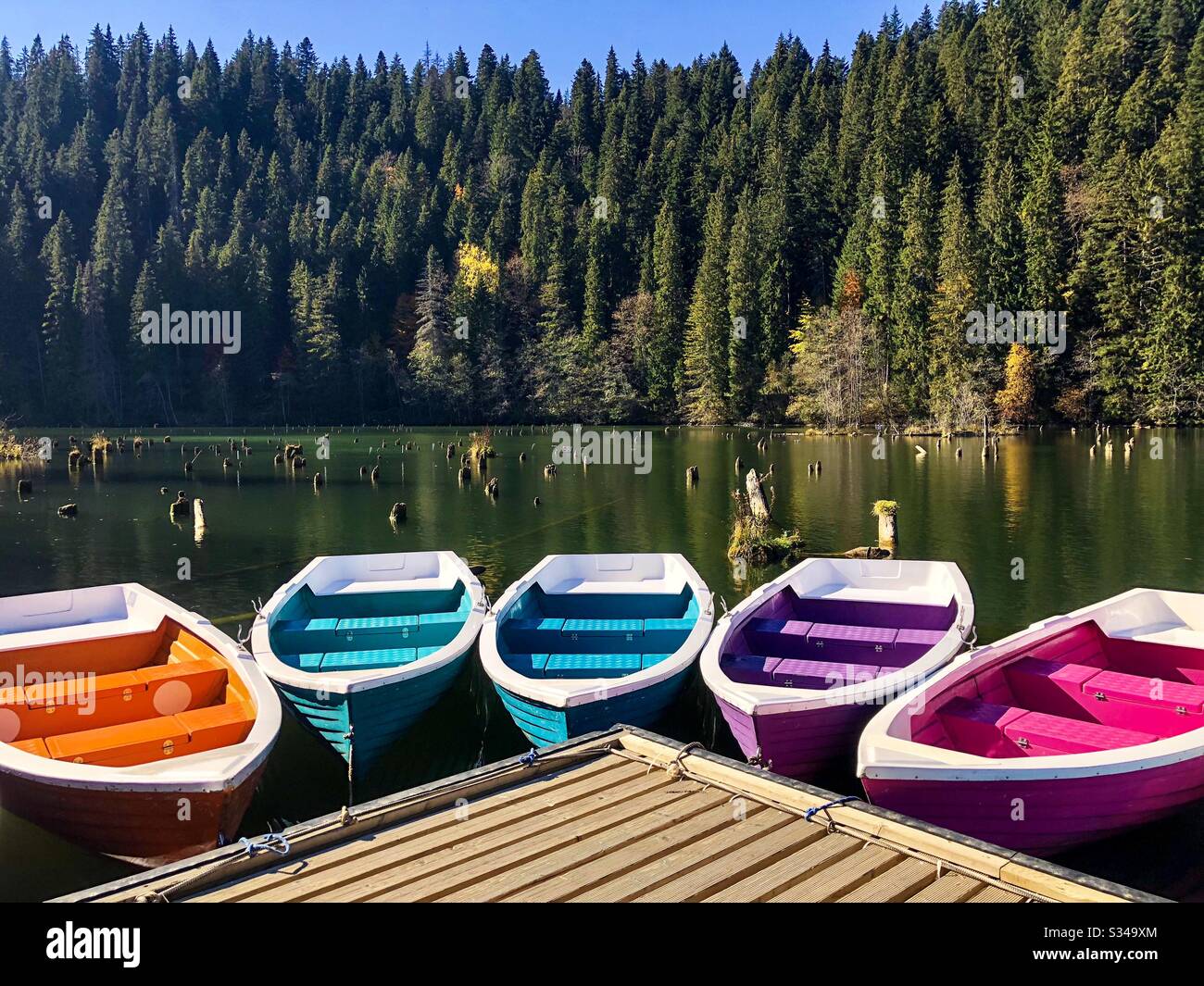 Bunte Boote auf dem See - Smartphone-aufgenommenes Stockfoto