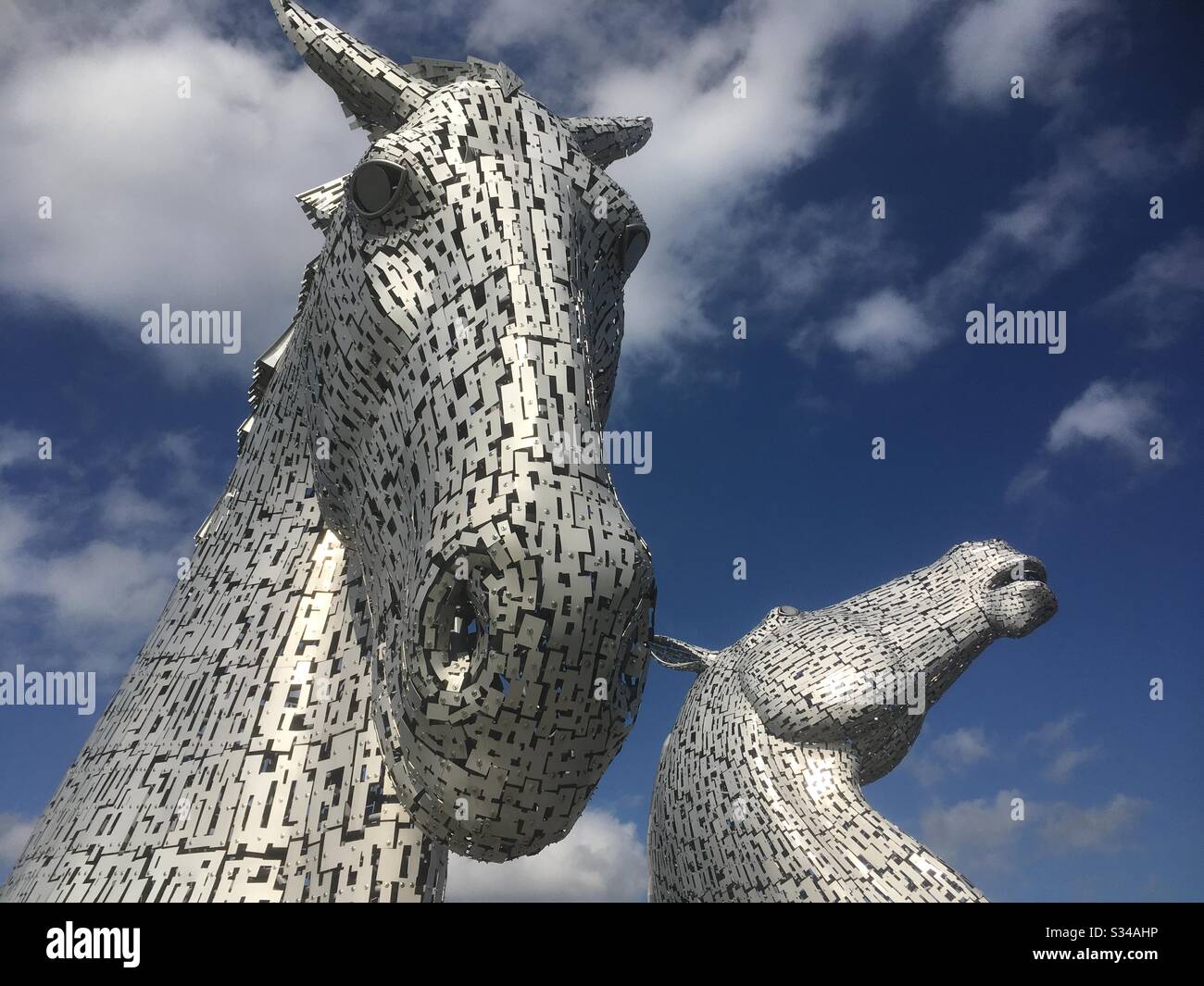 Die Kelpies, Pferdekopfskulpturen des Künstlers Andy Scott, die Formen verschiebenden Wassergeisters darstellen. Der Kanal Forth and Clyde liegt in der Nähe von Falkirk, Schottland Stockfoto