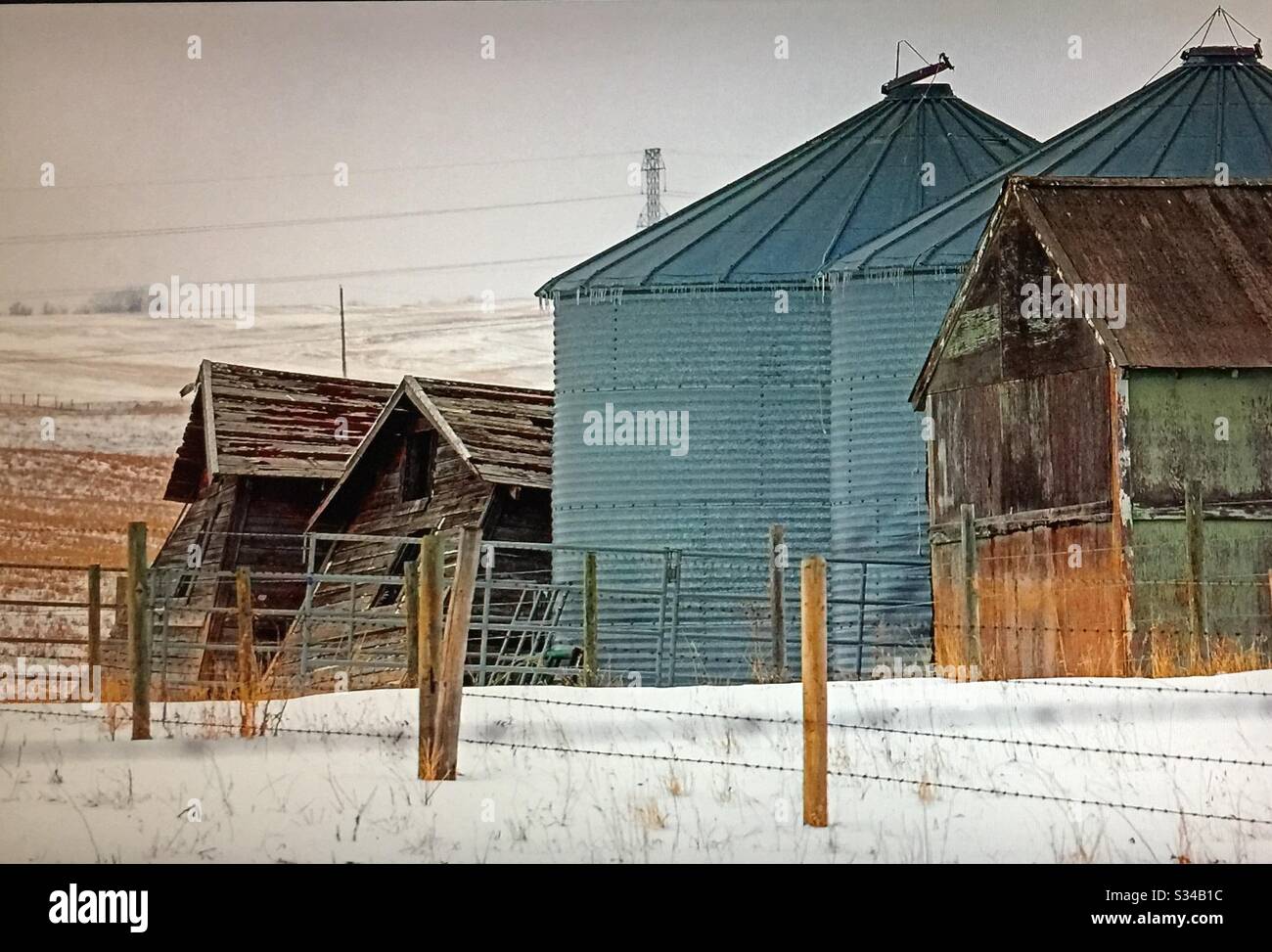 Zwei alte, sich verschlechternde, Getreideschuppen, Farm, Alberta, Kanada - Smartphone-aufgenommenes Stockfoto