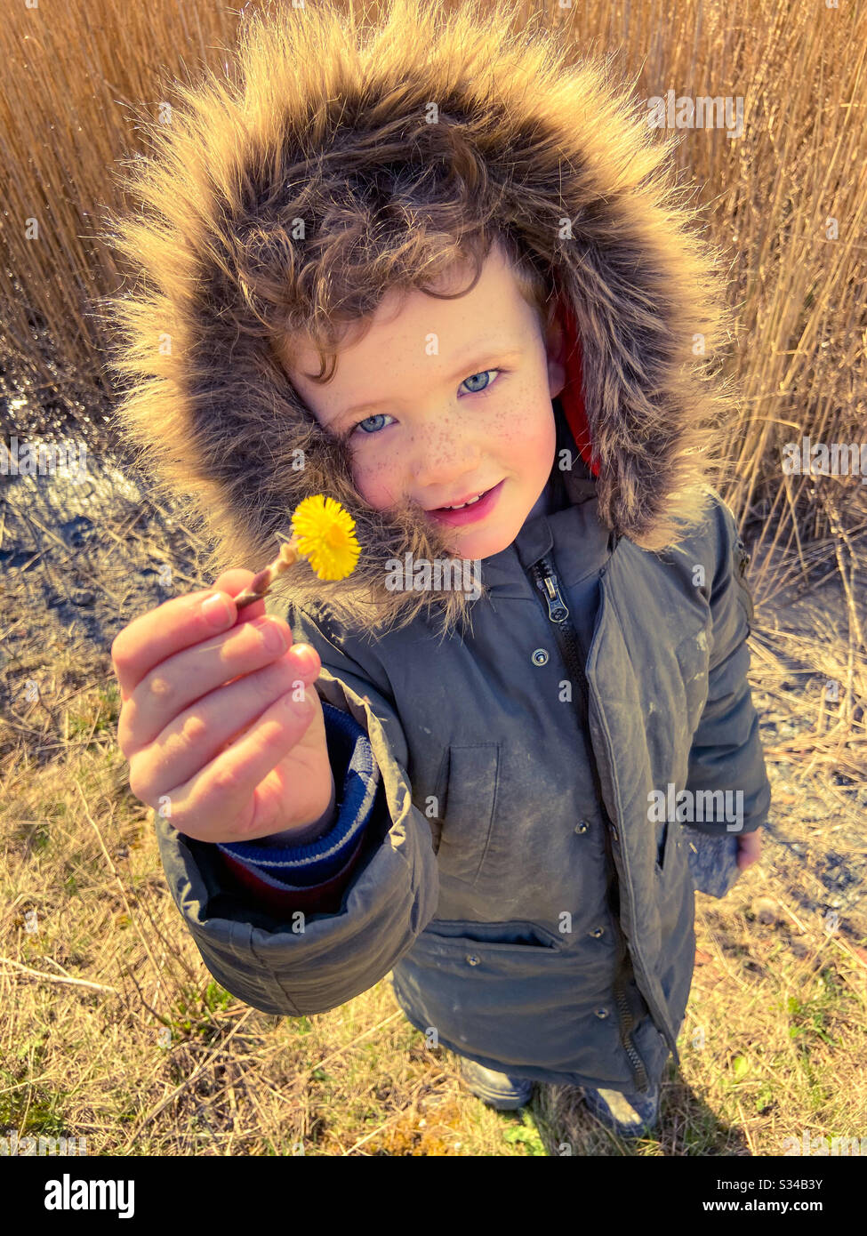 Spaziergänge - Smartphone-aufgenommenes Stockfoto