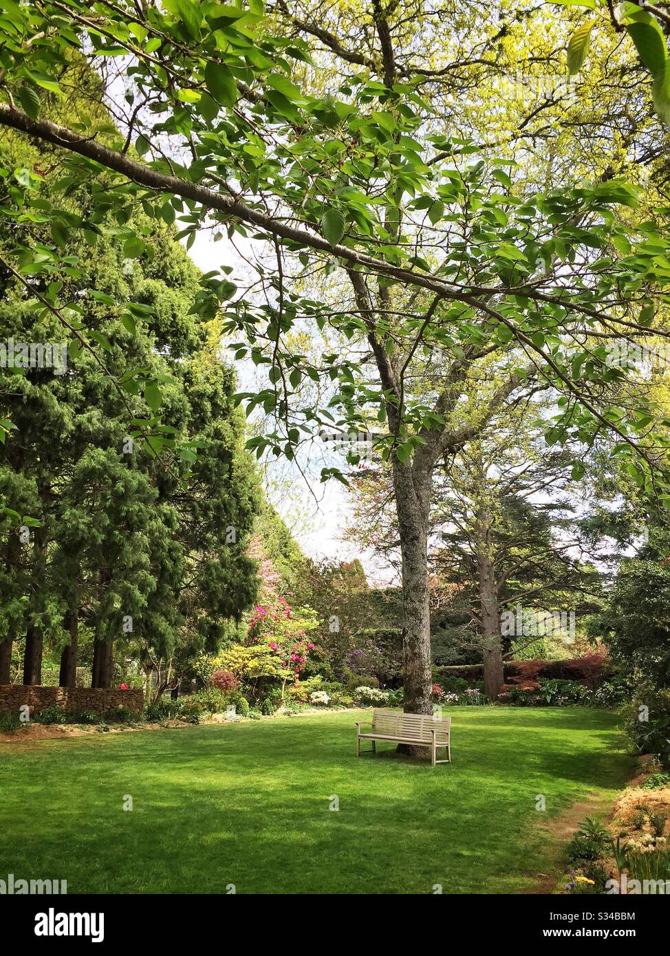 Ein privater Garten, der während des Leura Gardens Festivals, Blue Mountains, NSW, Australien, geöffnet ist - Smartphone-aufgenommenes Stockfoto