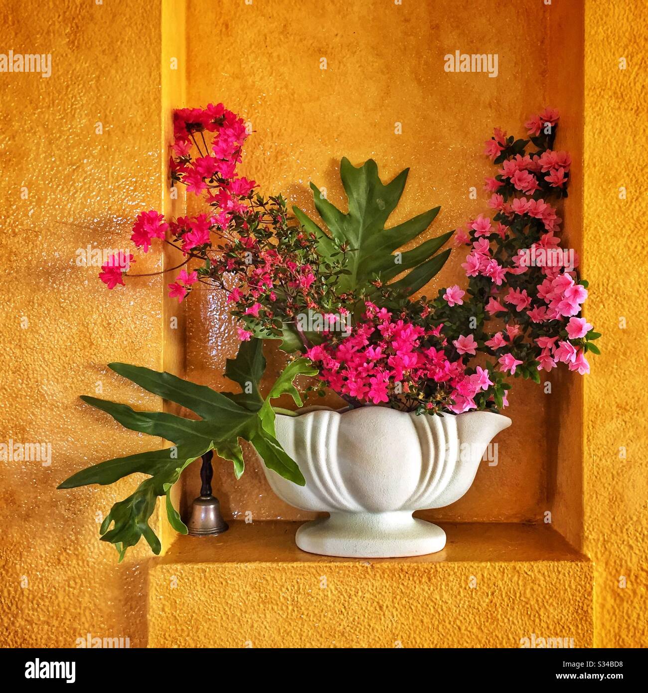 Eine Anzeige von Pflanzen und Blumen aus dem Garten im Haus in Everglades, einem unter Denkmalschutz stehenden Anwesen des National Trust, während des Leura Gardens Festivals, Blue Mountains, NSW, Australien Stockfoto