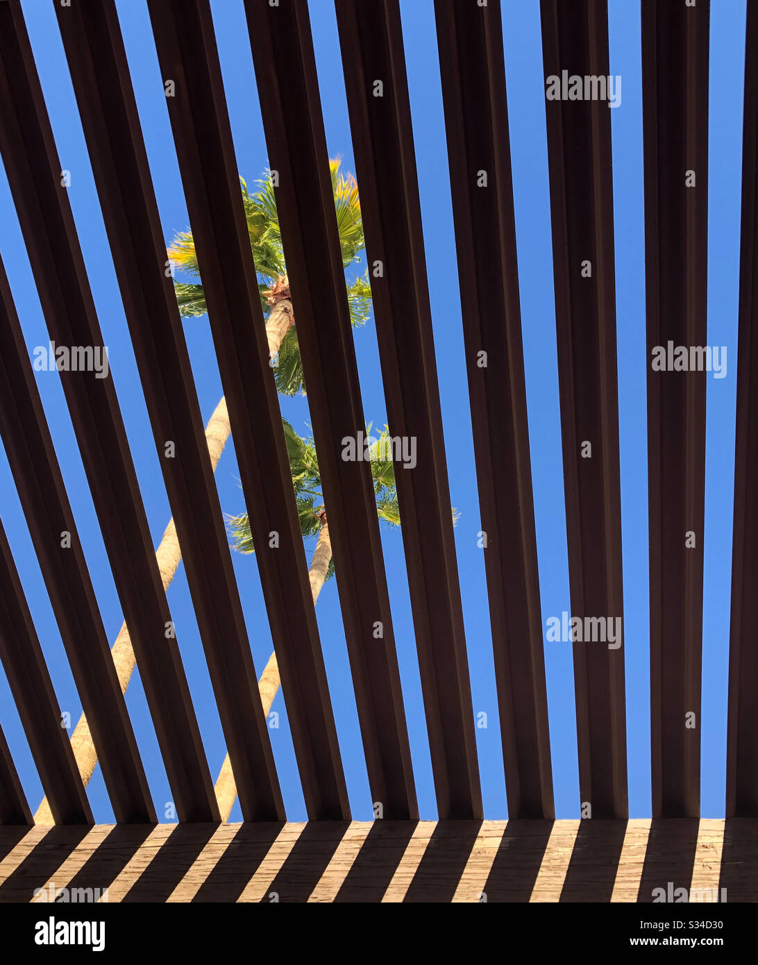 Kopiere Raum, Hintergrund, blauer Himmel, Mittelgrund, zwei Palmen, Vordergrund, Sonnenschutz aus Holzstreifen, Schatten auf dem Gebäude, YumaAZ Stockfoto