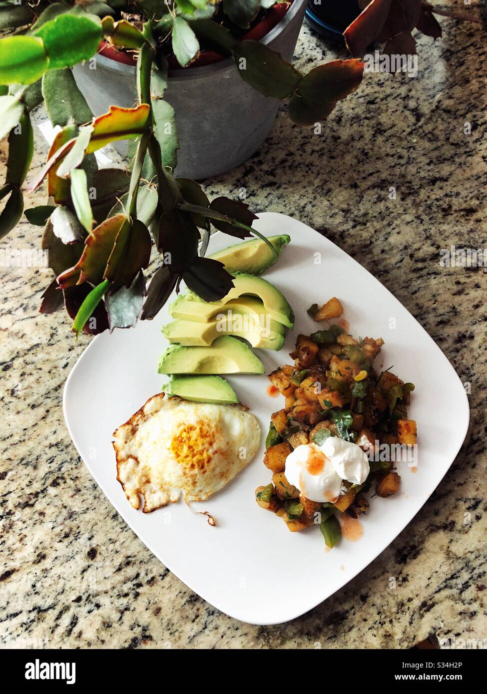 Frisch zubereiteter Frühstückspeller zu Hause Stockfoto