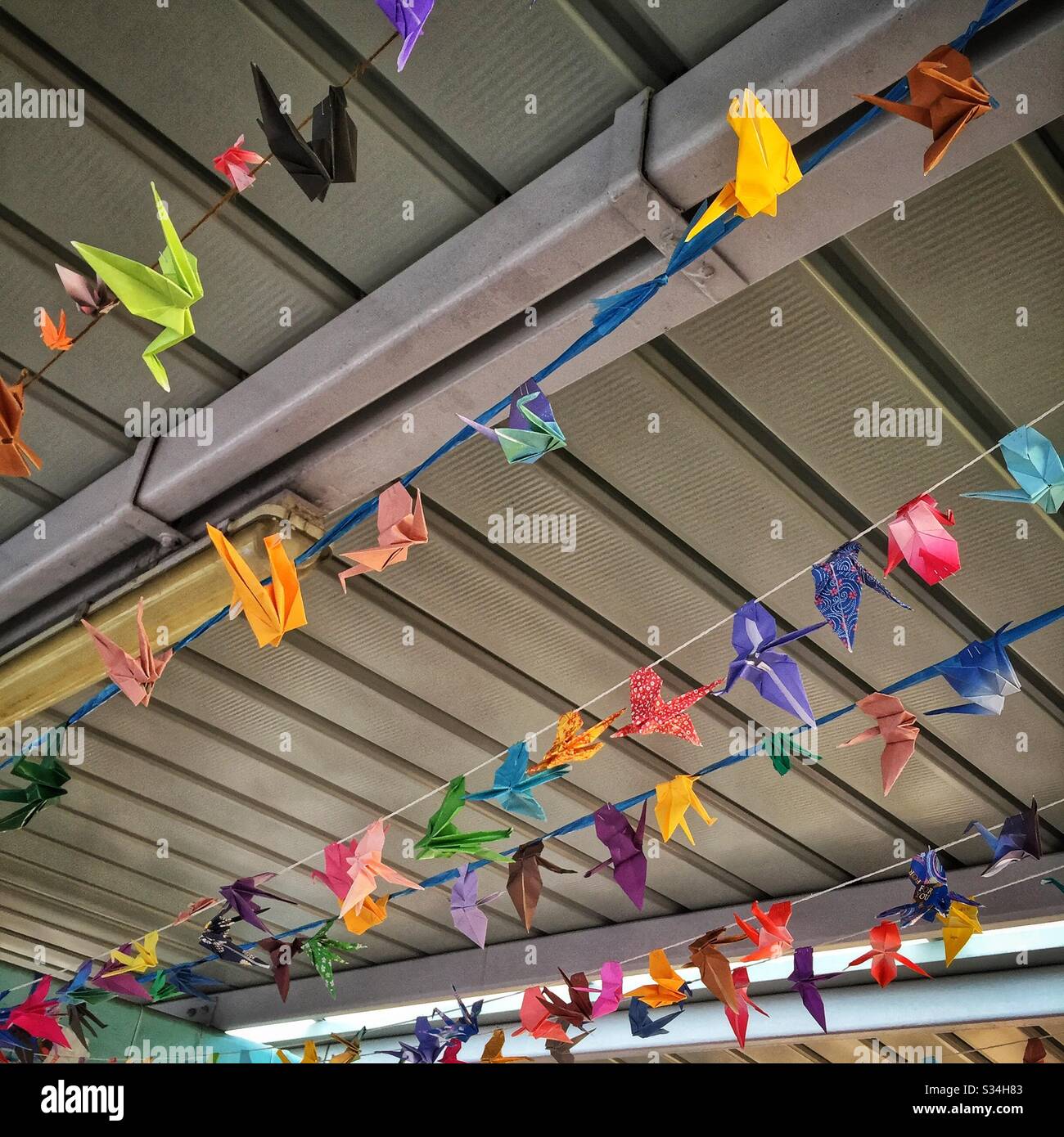 Origami-Papierkräne, die von Demonstranten auf einer erhöhten Fußgängerbrücke in Mong Kok, Kowloon, Hongkong, Oktober 2019 zurückgelassen wurden - Smartphone-aufgenommenes Stockfoto