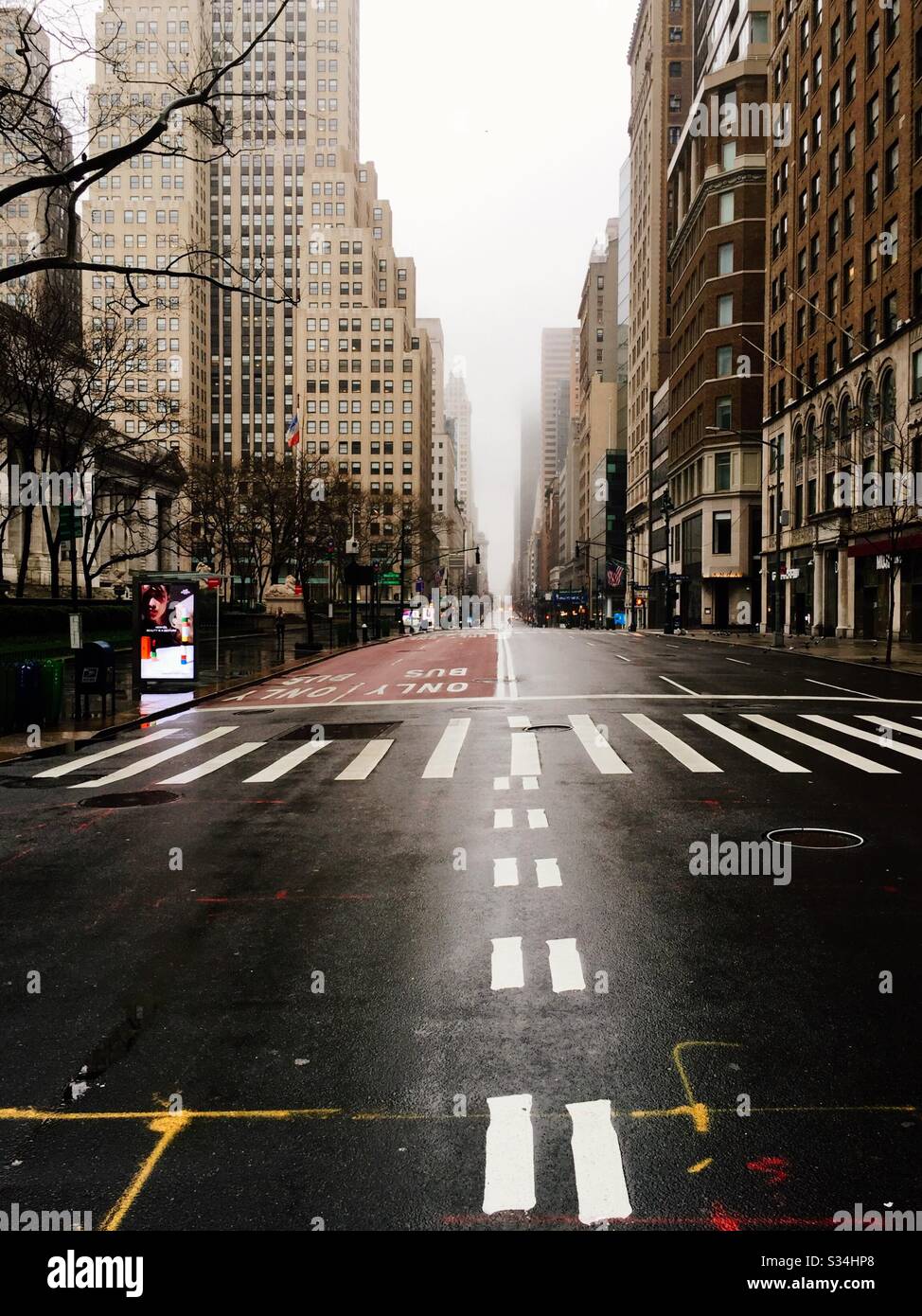 Die Fifth Avenue in der Nähe der New Yorker öffentlichen Bibliothek ist aufgrund der Sanktionen aufgrund der Coronavirus-Pandemie, 2020, NYC, desertiert Stockfoto