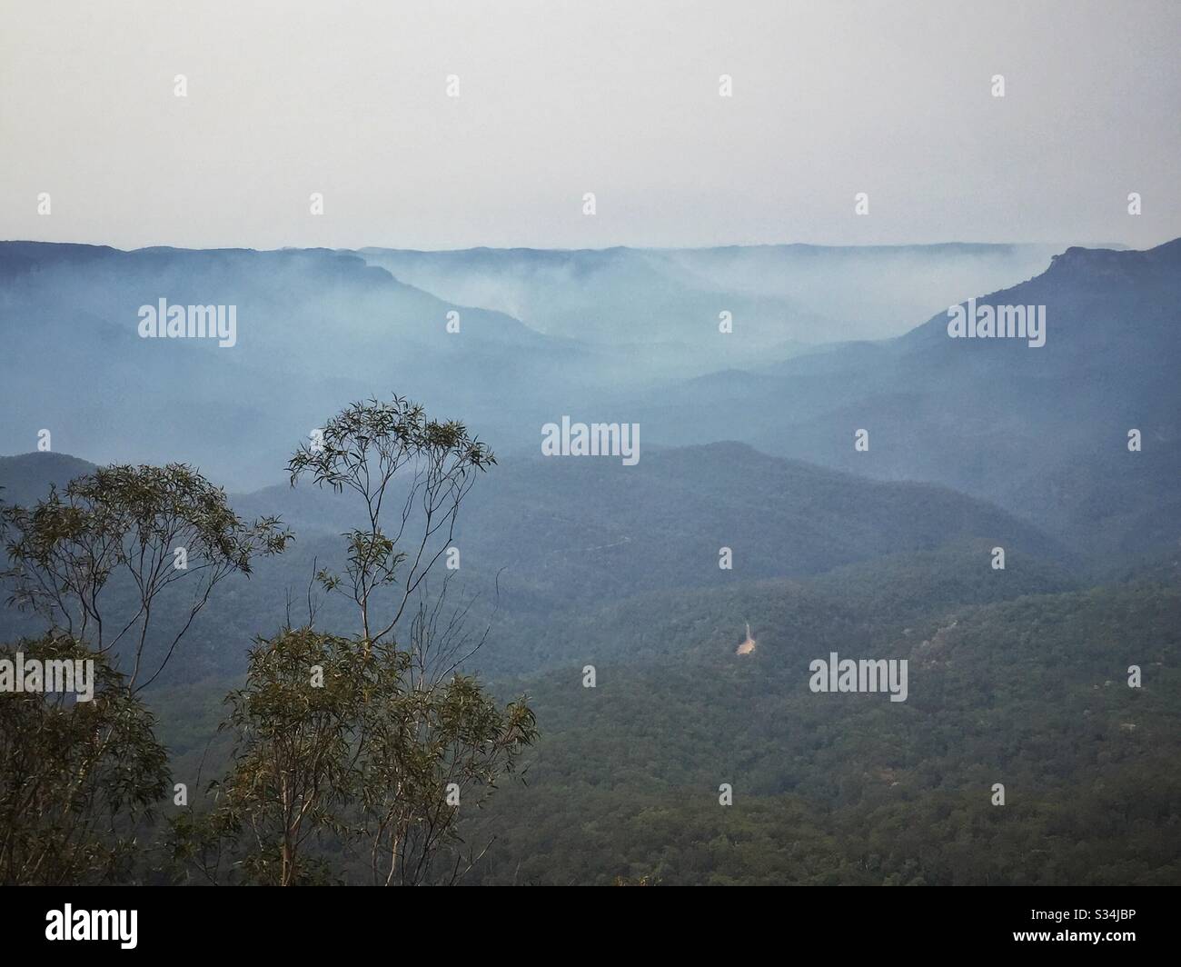 Buschfeuer Rauch im Jamison Valley, Blue Mountains National Park, NSW, Australien, Januar 2020 Stockfoto