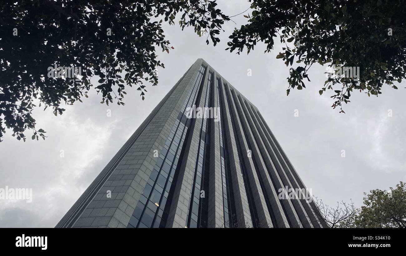 LOS ANGELES, CA, MAR 2020: Blick durch Bäume am Wolkenkratzer der Bank of America am übergiebelten Tag in der Innenstadt Stockfoto