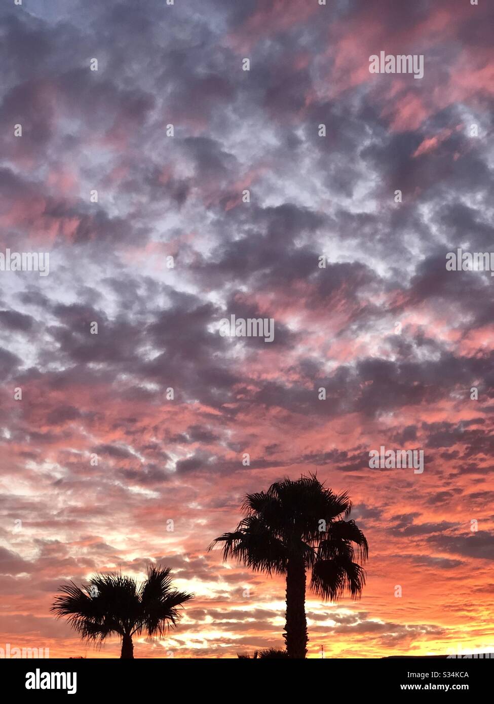 Feuriger Himmel, Sonnenuntergang, viele Wolken, verschiedene Farben, grau, rosa, orangefarbene Sorten, leuchtendes Gelb von der Sonne, zwei Palmenoberflächen, Kopierraum, Natur, natürlich, YumaAZ Stockfoto