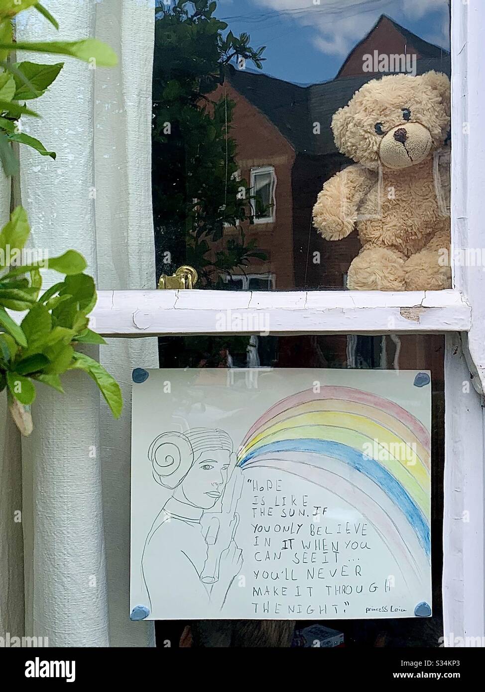 Ein Teddy und Regenbogen in einem Fenster während der Covid-19-Pandemie, Oxford, Großbritannien, März 2020 Stockfoto