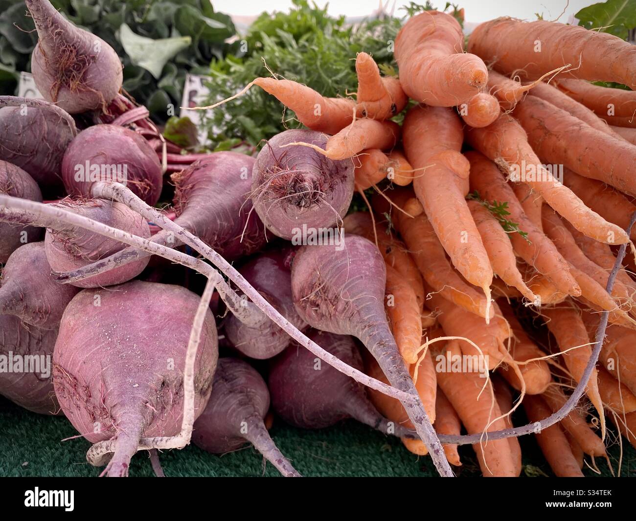 Frische Rüben und Karotten ausgestellt, zum Verkauf auf dem Bauernmarkt im Freien in Kalifornien Stockfoto