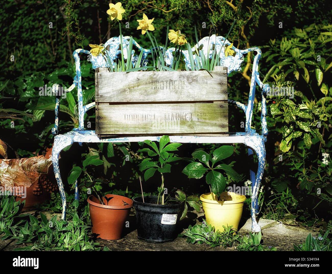 Gartenbank mit Blumen. - Smartphone-aufgenommenes Stockfoto